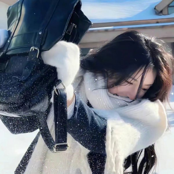 豹子头林冲之山神庙